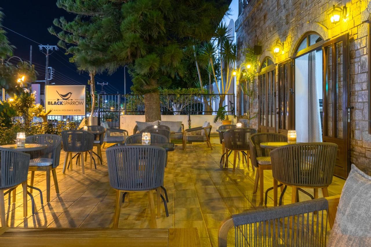 Hotel Malia Holidays Dış mekan fotoğraf